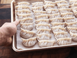 Chicken and Vegetable Dumpling Gyozas - Sealand Quality Foods