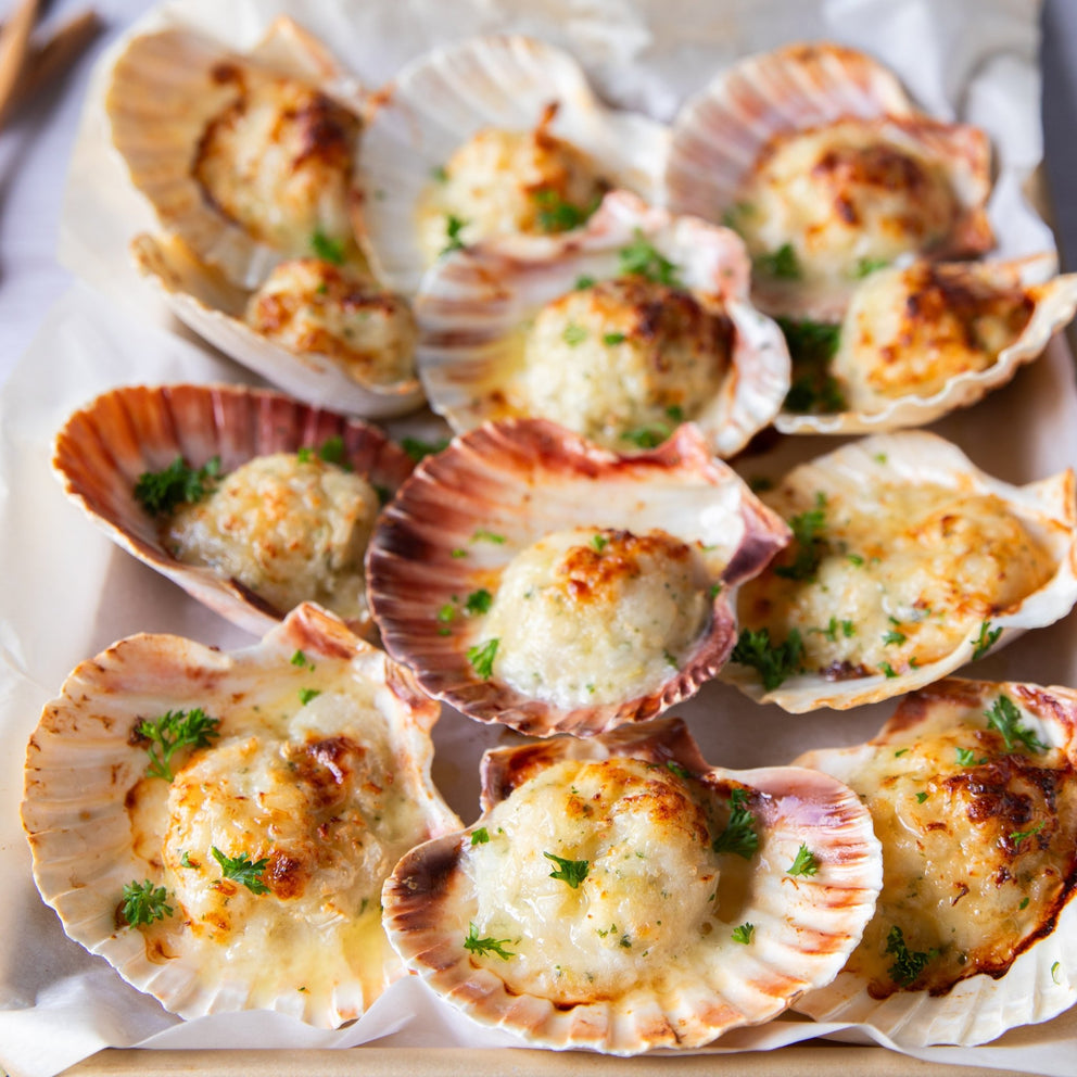 Coquilles Saint Jacques - Sealand Quality Foods