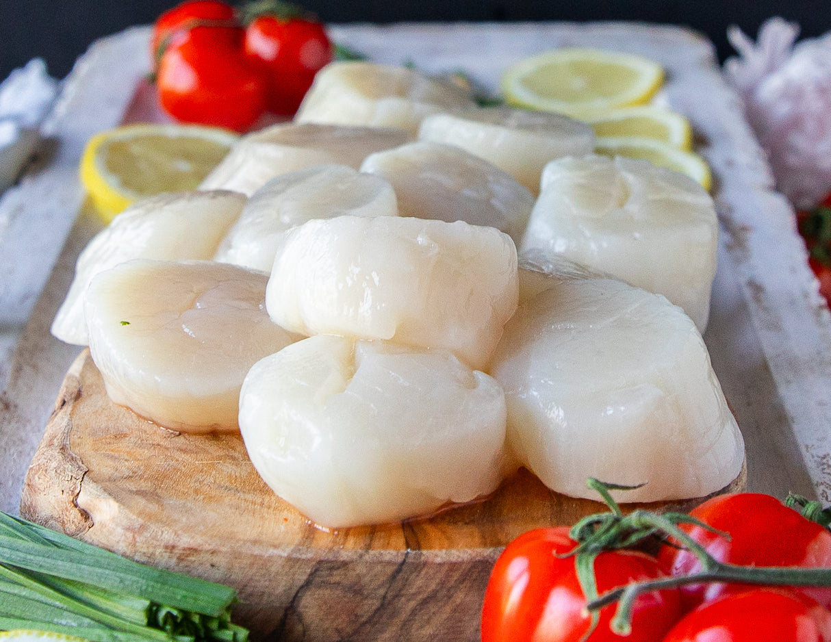 Hokkaido Scallops - U10/U12