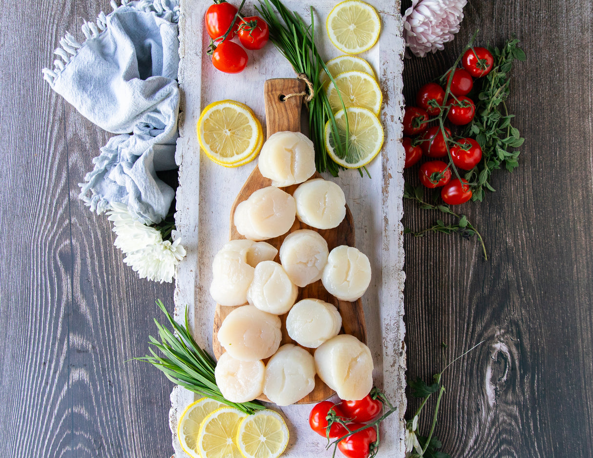 Hokkaido Scallops - U10/U12
