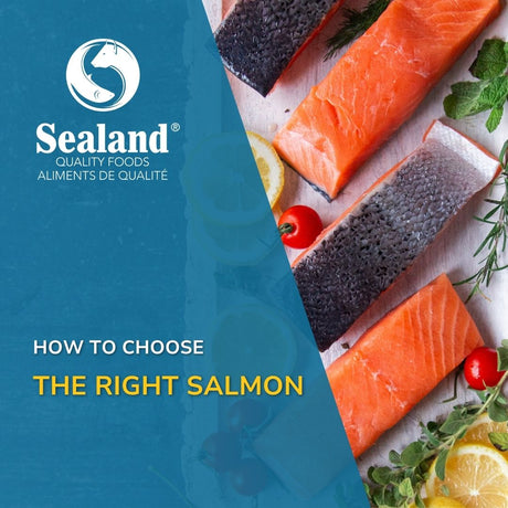Sealand Quality Foods blog cover featuring multiple premium salmon fillets with the title "How to Choose the Right Salmon.Sealand Quality Foods blog cover featuring multiple premium salmon fillets with the title "How to Choose the Right Salmon."