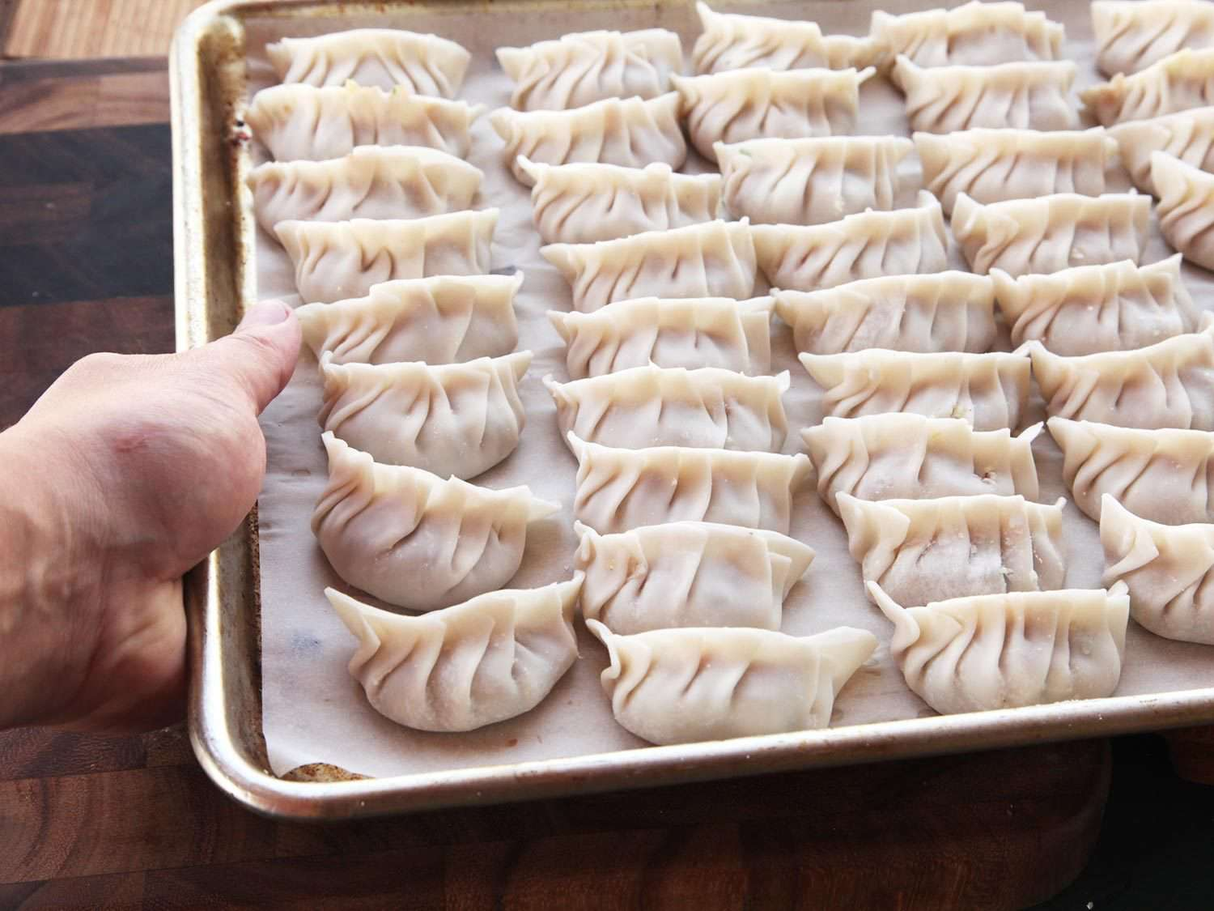 Chicken and Vegetable Dumpling Gyozas