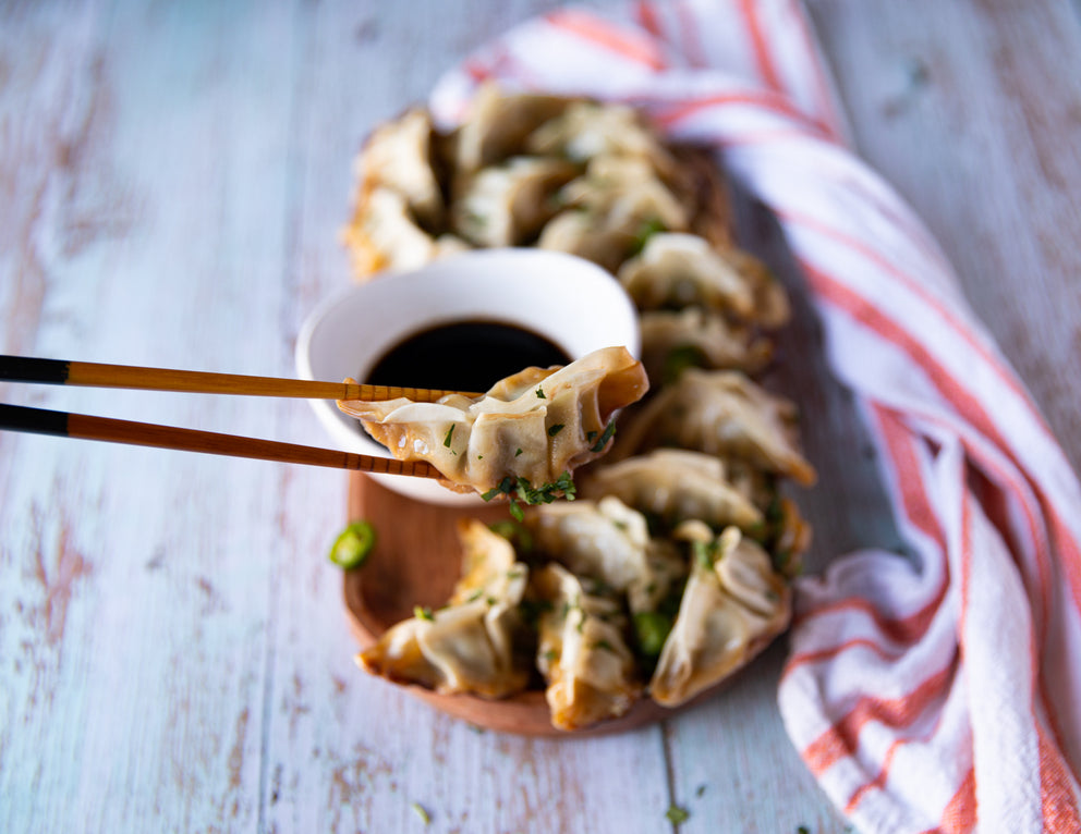 Sealand Quality Foods Chicken and Vegetable Dumpling Gyoza Held in Chopsticks