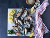 Green Lipped Mussels