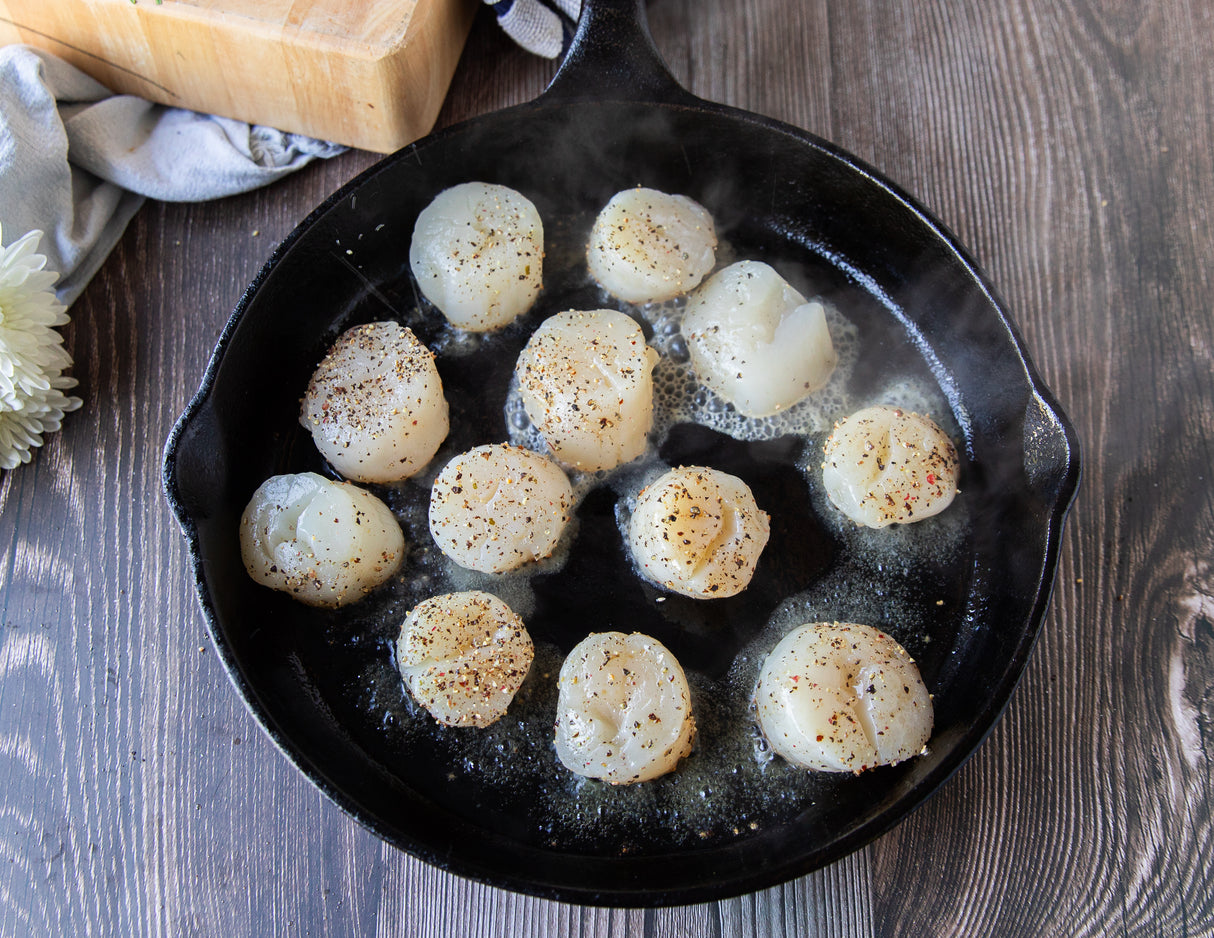 Hokkaido Scallops - U10/U12