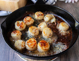 Hokkaido Scallops - U10/U12