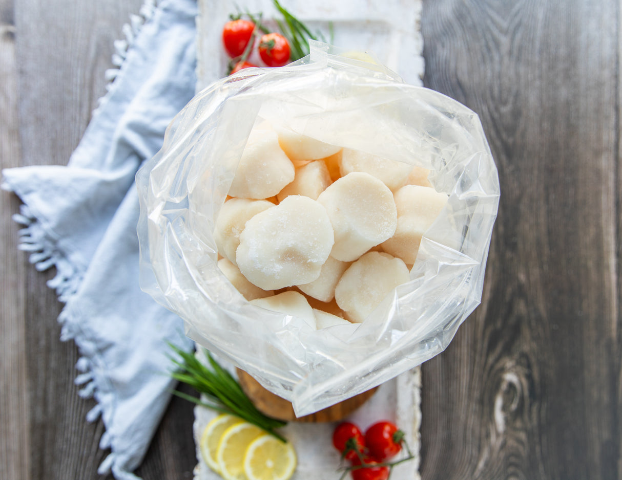 Hokkaido Scallops - U10/U12