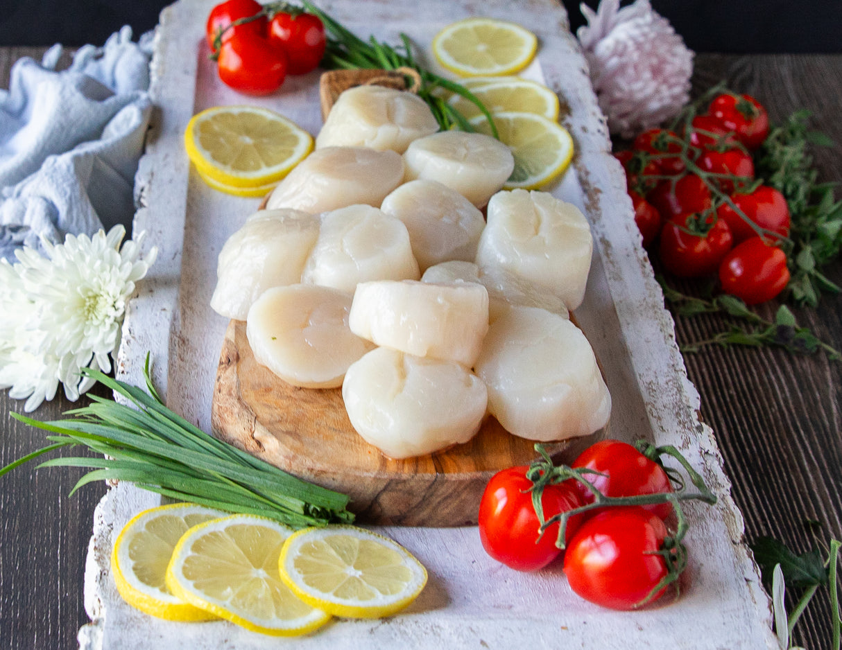 Hokkaido Scallops - U10/U12