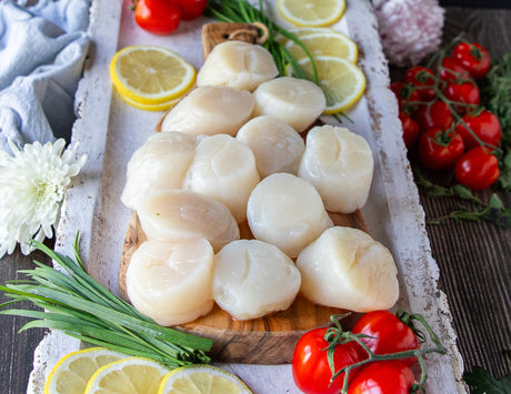 Hokkaido Scallops - U10/U12