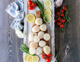 Hokkaido Scallops - U10/U12